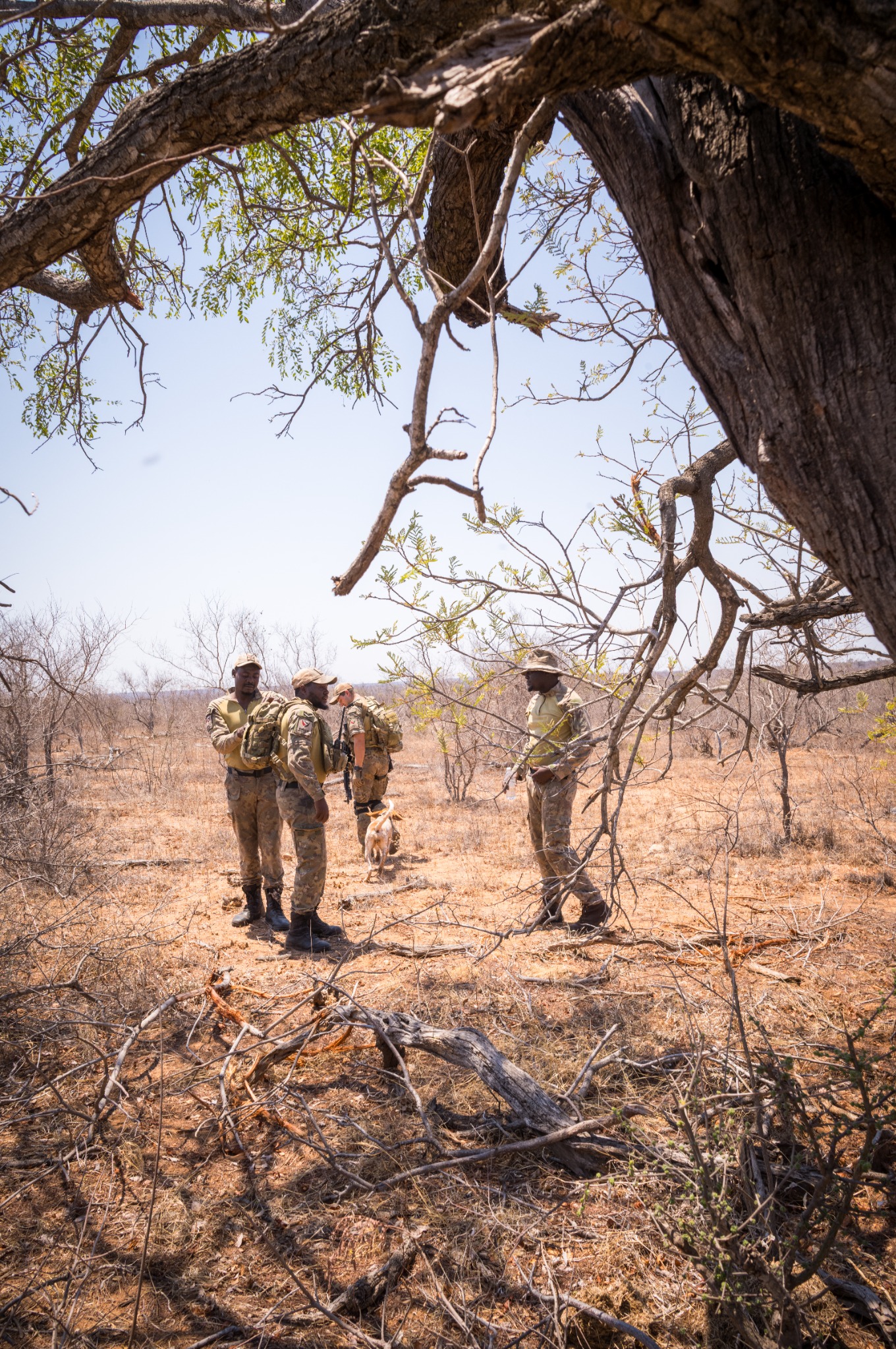 Balule Nature Reserve documentary photograph